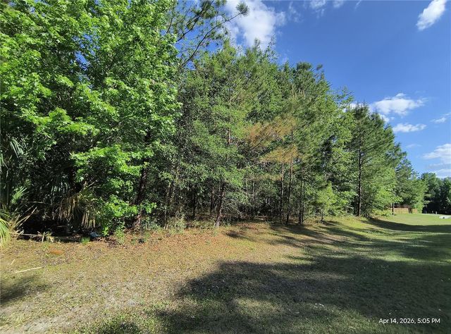 TBD NW 141ST AVENUE, Williston, FL 32696