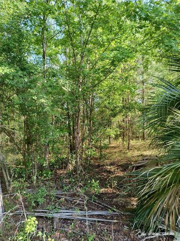 TBD NW 141ST AVENUE, Williston, FL 32696