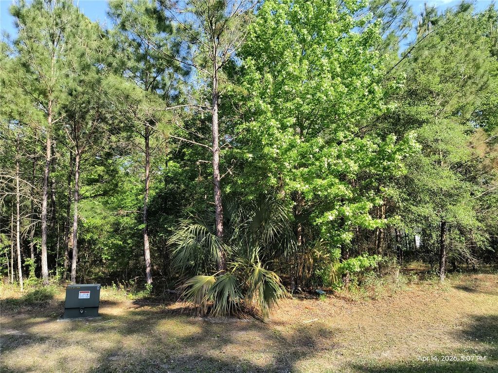 TBD NW 141ST AVENUE, Williston, FL 32696