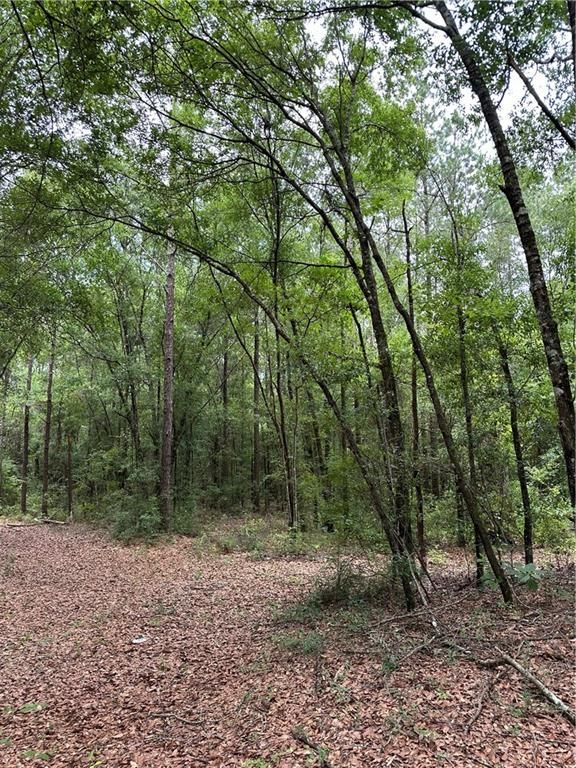 0 Spice Pond Drive, Eight Mile, AL 36613 — photo 2