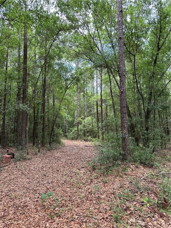 0 Spice Pond Drive, Eight Mile, AL 36613 — photo 3