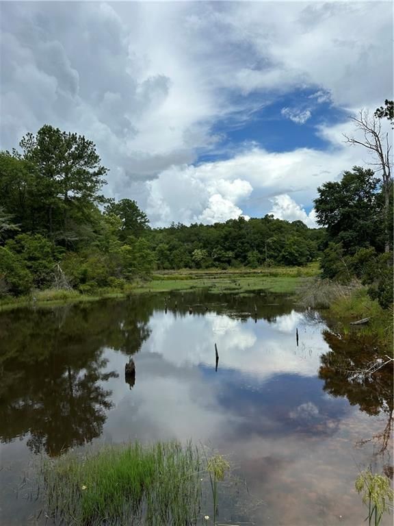 0 Spice Pond Drive, Eight Mile, AL 36613 — photo 4