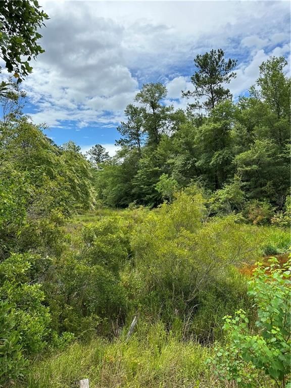 0 Spice Pond Drive, Eight Mile, AL 36613 — photo 5