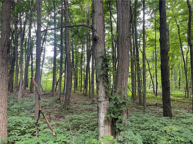 7991 Rock River Road, Ovid, NY 14847