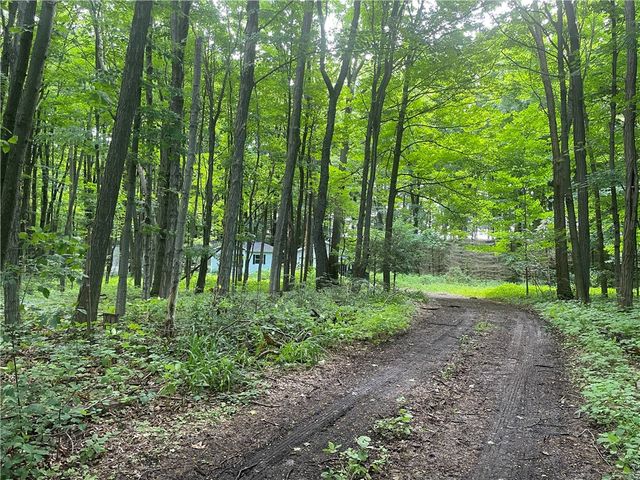 7991 Rock River Road, Ovid, NY 14847