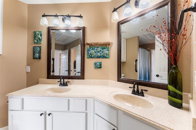 25203 Burgh Castle Drive, Spring, TX 77389