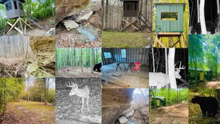 424 Mitt Foster Road, Monticello, KY 42633