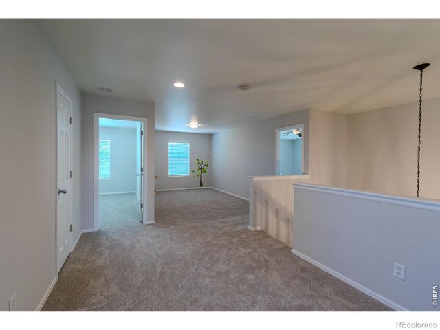1667 Kelmsley Court, Windsor, CO 80550