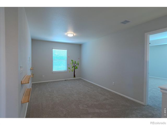 1667 Kelmsley Court, Windsor, CO 80550