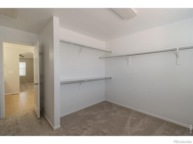 1667 Kelmsley Court, Windsor, CO 80550
