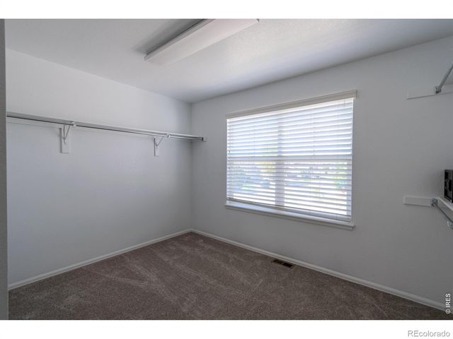 1667 Kelmsley Court, Windsor, CO 80550