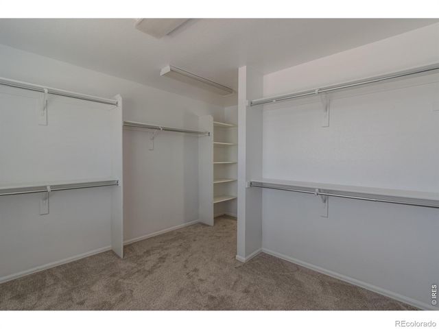 1667 Kelmsley Court, Windsor, CO 80550