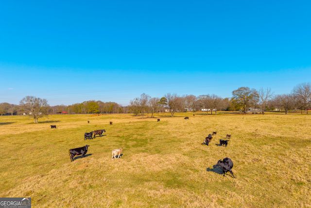 1191 Plain View Road, Carnesville, GA 30521