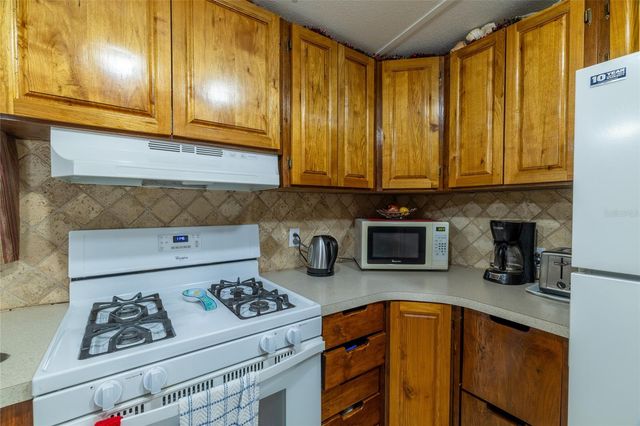 591 MARSHBURN DRIVE, Bronson, FL 32621