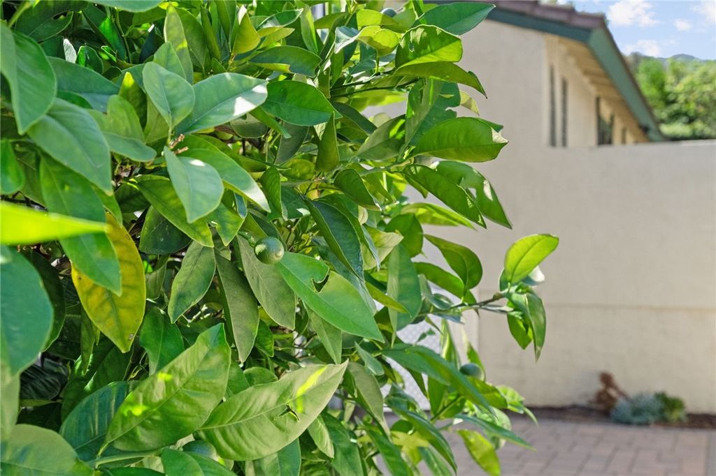 Image 18 of property listing at 2653 Condor, Corona, CA 92882