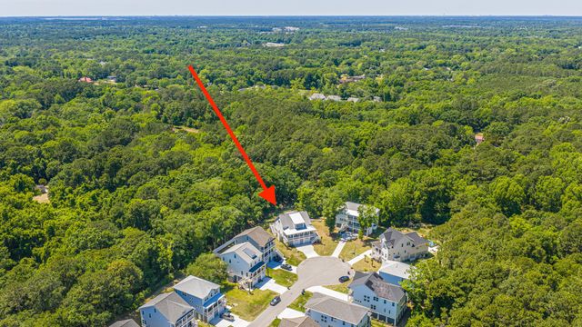 1087 Capersview Court, Awendaw, SC 29429