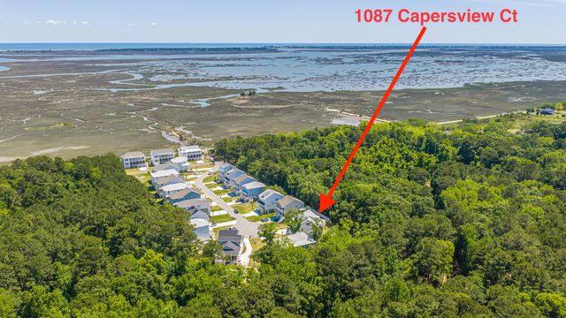 1087 Capersview Court, Awendaw, SC 29429