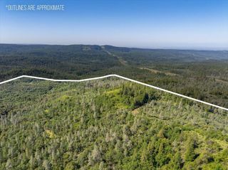 Melton Road, Round Mountain, CA 96084