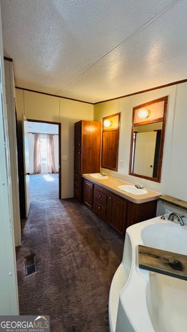 495 Mitchell Drive, Reidsville, GA 30453