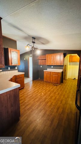 495 Mitchell Drive, Reidsville, GA 30453