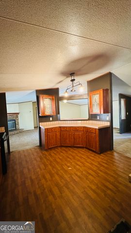 495 Mitchell Drive, Reidsville, GA 30453