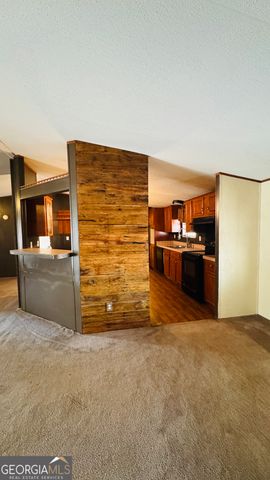 495 Mitchell Drive, Reidsville, GA 30453