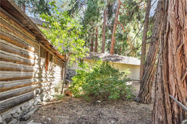 41099 Valley of the Falls, Forest Falls, CA 92339