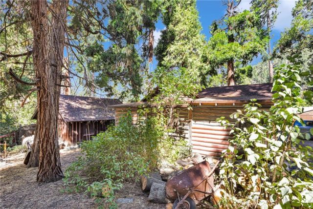41099 Valley of the Falls, Forest Falls, CA 92339