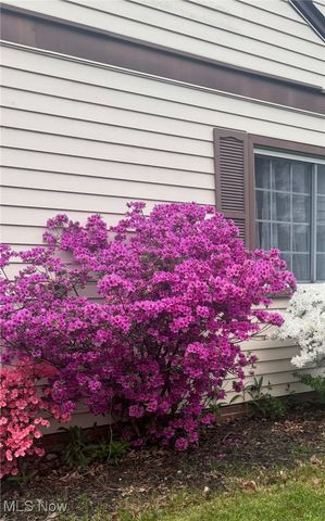 21237 Westwood Road, Fairview Park, OH 44126