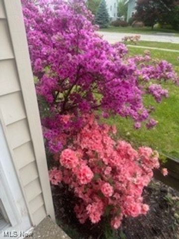 21237 Westwood Road, Fairview Park, OH 44126