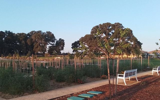 8305 Evans Tree Dr, Roseville, CA 95747