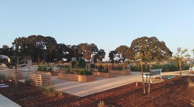 8305 Evans Tree Dr, Roseville, CA 95747