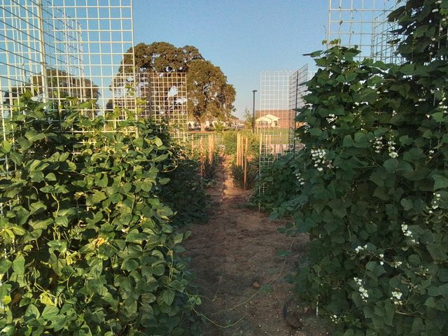 8305 Evans Tree Dr, Roseville, CA 95747