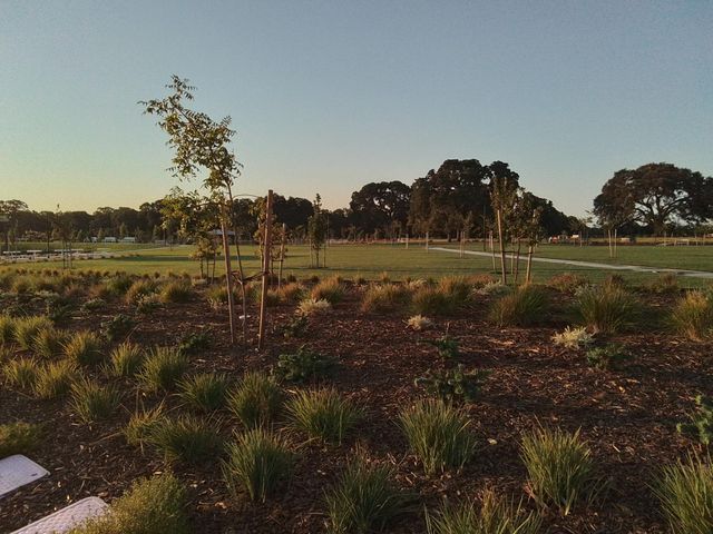 8305 Evans Tree Dr, Roseville, CA 95747