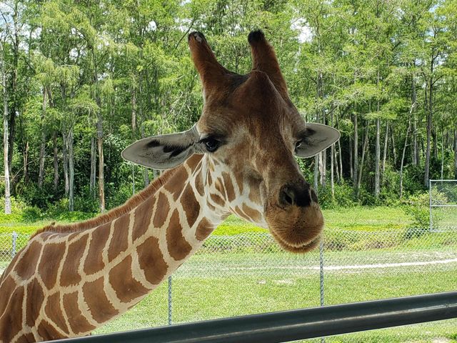 2615 N Garden Drive 109, Lake Worth, FL 33461