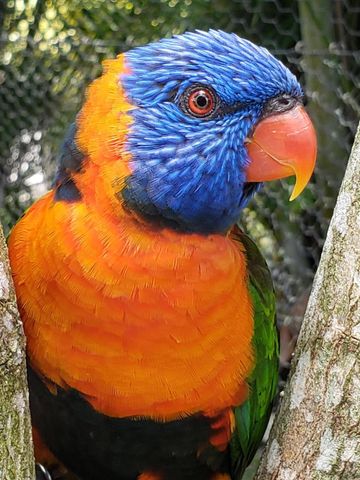 2615 N Garden Drive 109, Lake Worth, FL 33461