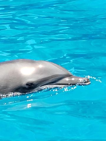 2615 N Garden Drive 109, Lake Worth, FL 33461