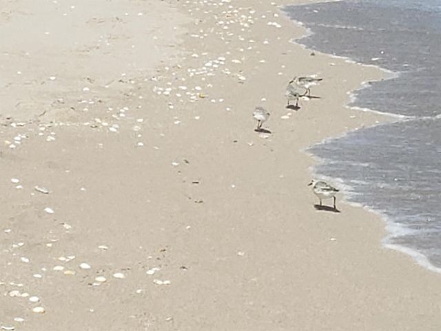 2615 N Garden Drive 109, Lake Worth, FL 33461