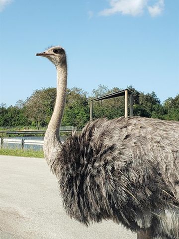 2615 N Garden Drive 109, Lake Worth, FL 33461