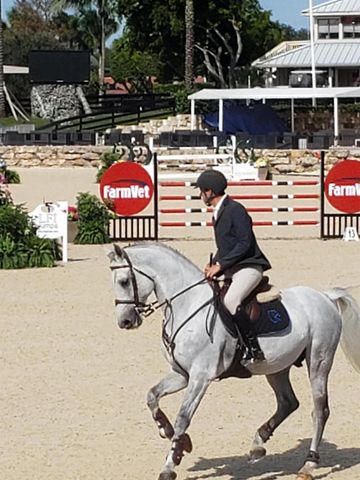 2615 N Garden Drive 109, Lake Worth, FL 33461