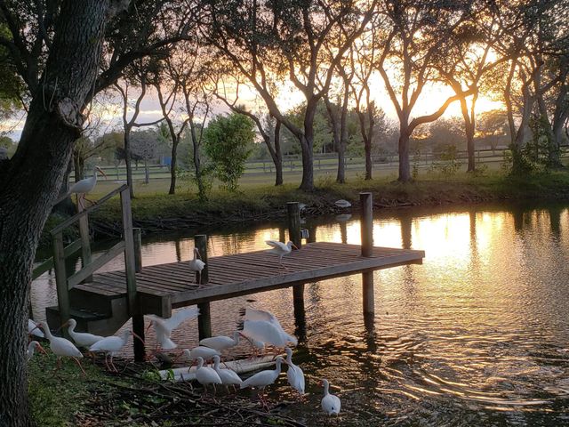 2615 N Garden Drive 109, Lake Worth, FL 33461