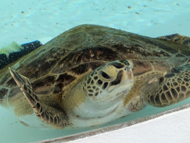 2615 N Garden Drive 109, Lake Worth, FL 33461