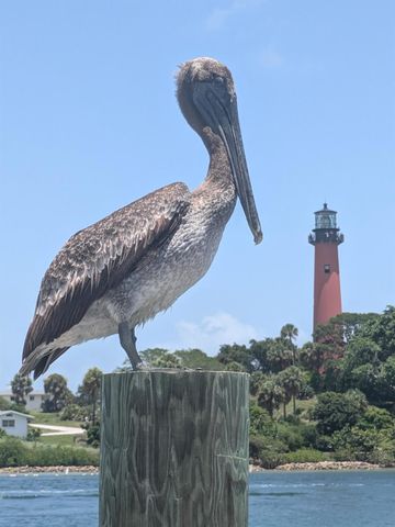 2615 N Garden Drive 109, Lake Worth, FL 33461