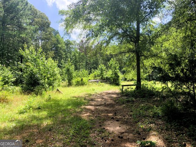 4170 Hollonville Road, Williamson, GA 30292