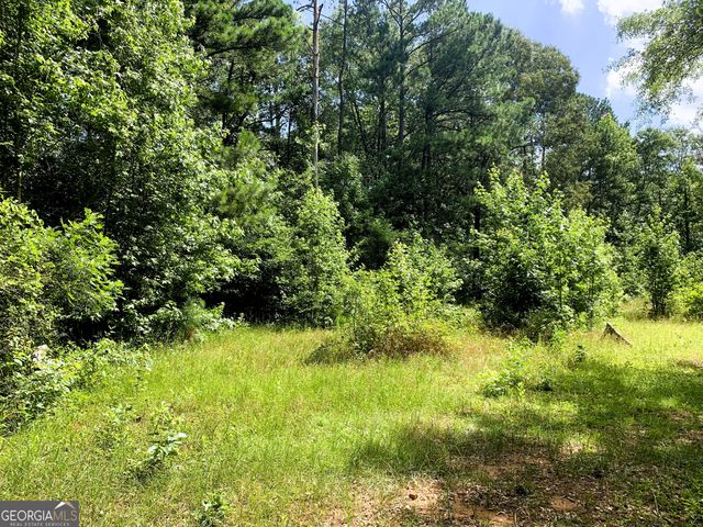 4170 Hollonville Road, Williamson, GA 30292