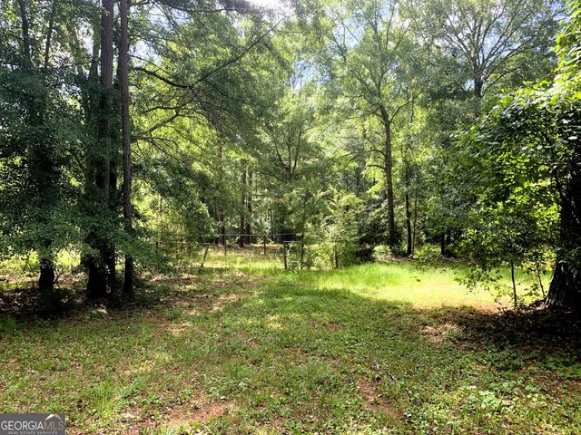 4170 Hollonville Road, Williamson, GA 30292