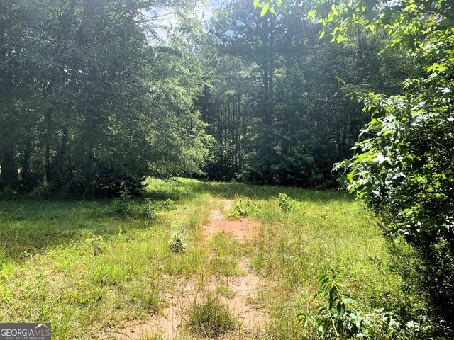 4170 Hollonville Road, Williamson, GA 30292