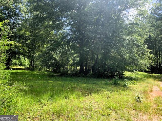 4170 Hollonville Road, Williamson, GA 30292