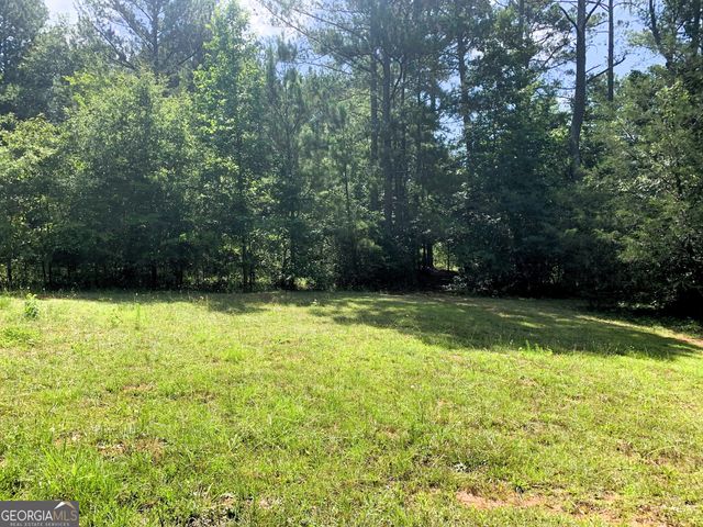 4170 Hollonville Road, Williamson, GA 30292