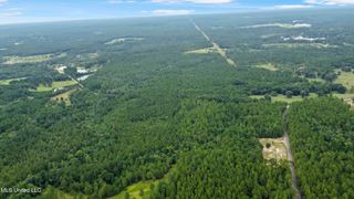 Silver Run-Progress Road, Perkinston, MS 39573